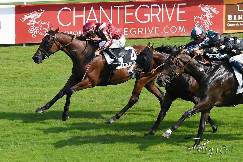 21 août 2021
🎆Coup💥 pour les montois  à l’Hippodrome de la Teste🏆🏆🏆🏆
🥇Mosca d’Or🐴
O : Christine Mallemanche-Toal 
T : #DamiendeWatrigant  
J : Mickael Forest
👏👏👏