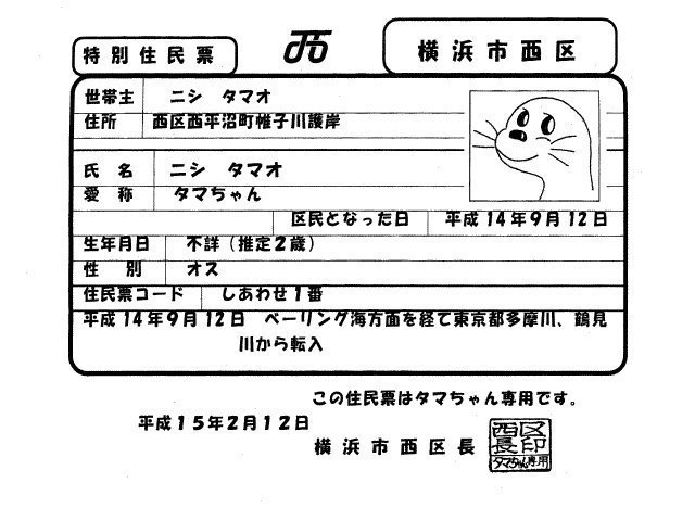 2003年、横浜市西区は帷子川に現れたアザラシ「タマちゃん」に特別住民