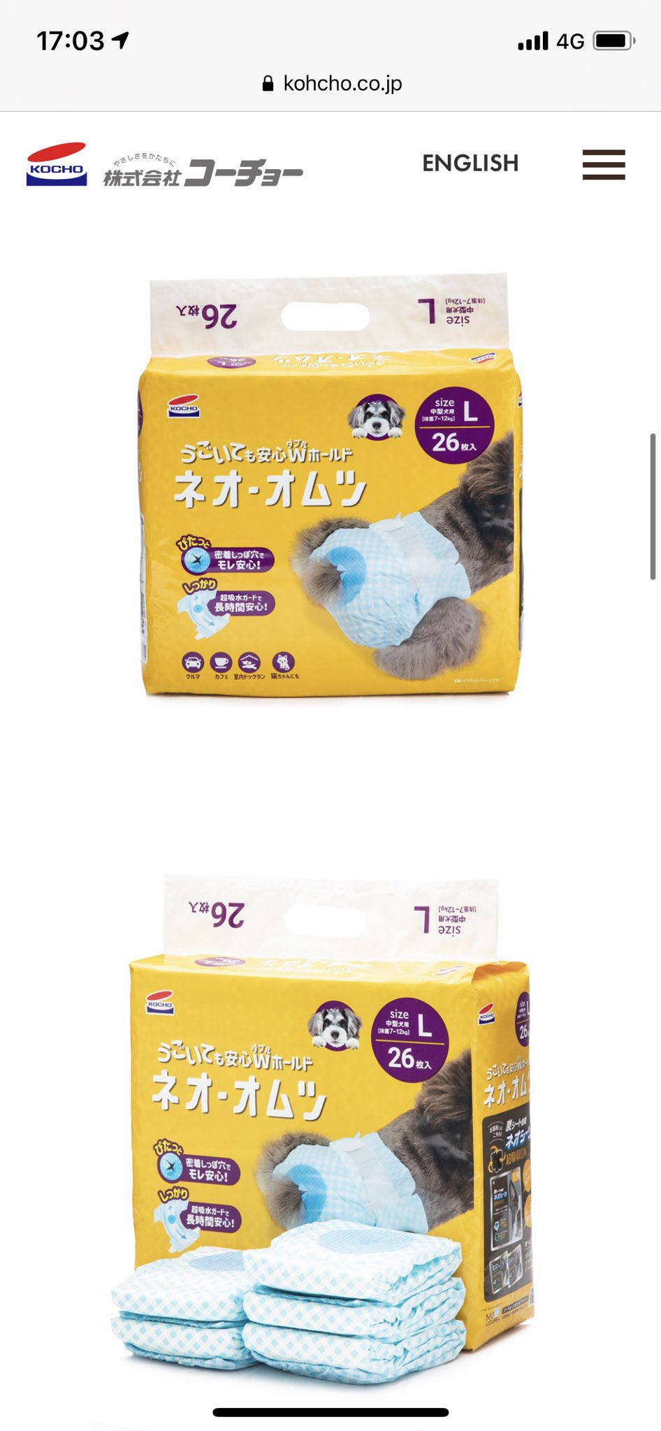 犬用オムツ Twitter Search Twitter