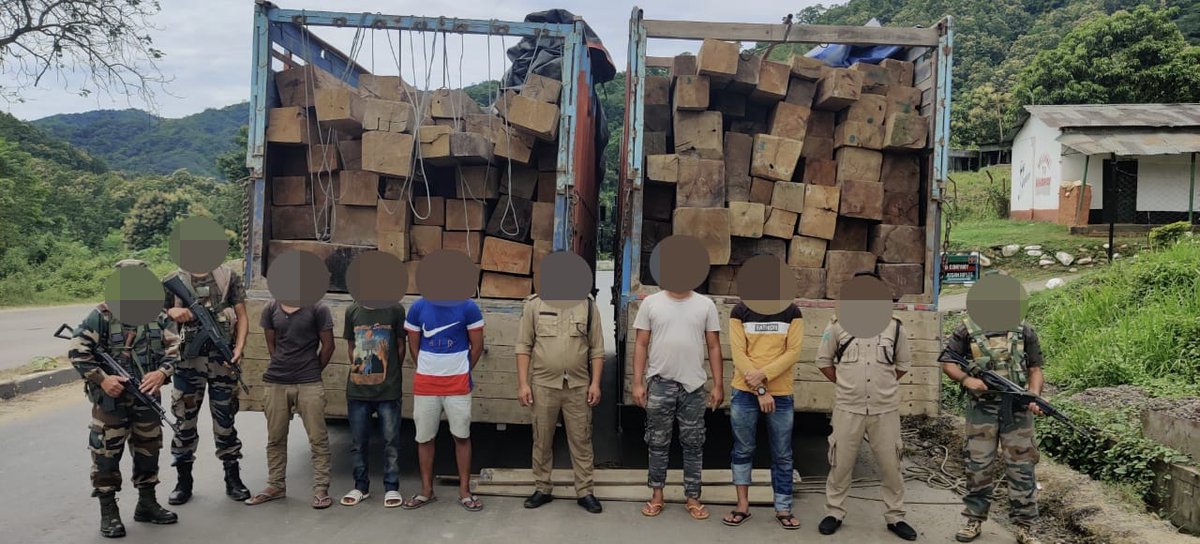 jdouglasSEA's tweet photo. 4000+ cubic feet/114 cubic metres of logs in Nagaland NE India adjacent to the Myanmar border. Quite a few shipments like this recently as timber trafficking has picked-up - markets and demand to the north, east and west. Usually overlooked and could use a little attention https://t.co/ntjPttJ3DR