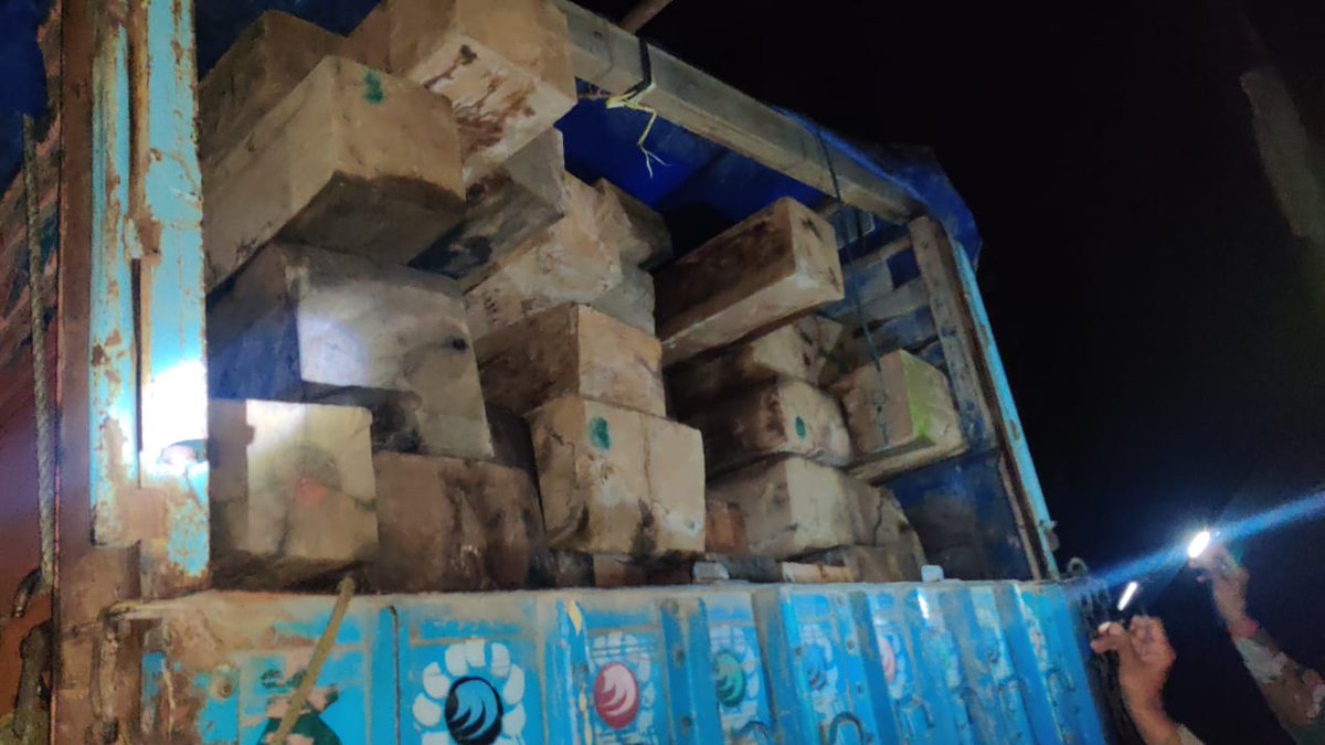 4000+ cubic feet/114 cubic metres of logs in Nagaland NE India adjacent to the Myanmar border. Quite a few shipments like this recently as timber trafficking has picked-up - markets and demand to the north, east and west. Usually overlooked and could use a little attention