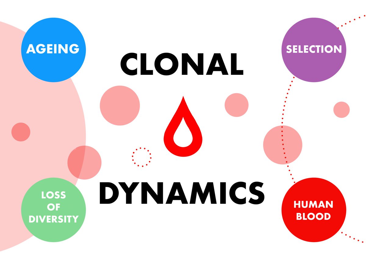 Want to learn about clonal #evolution in our #blood as we age? Check out this exciting new preprint from <a href="/Emily_LMitchell/">Emily Mitchell</a> and team. Proud to have been a (very small) part of it.
