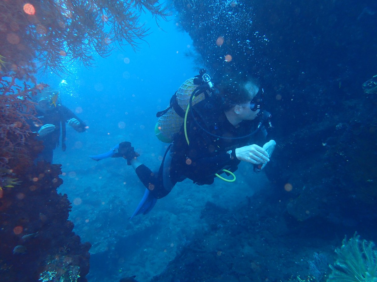 enadive's tweet photo. Let's dive with us at the wreck Bali https://t.co/HnQv5WrGiS #scubadiving #scuba #scubadive #scubadivingtrip #scubapants #snorkeling https://t.co/JVFSNc3kOj