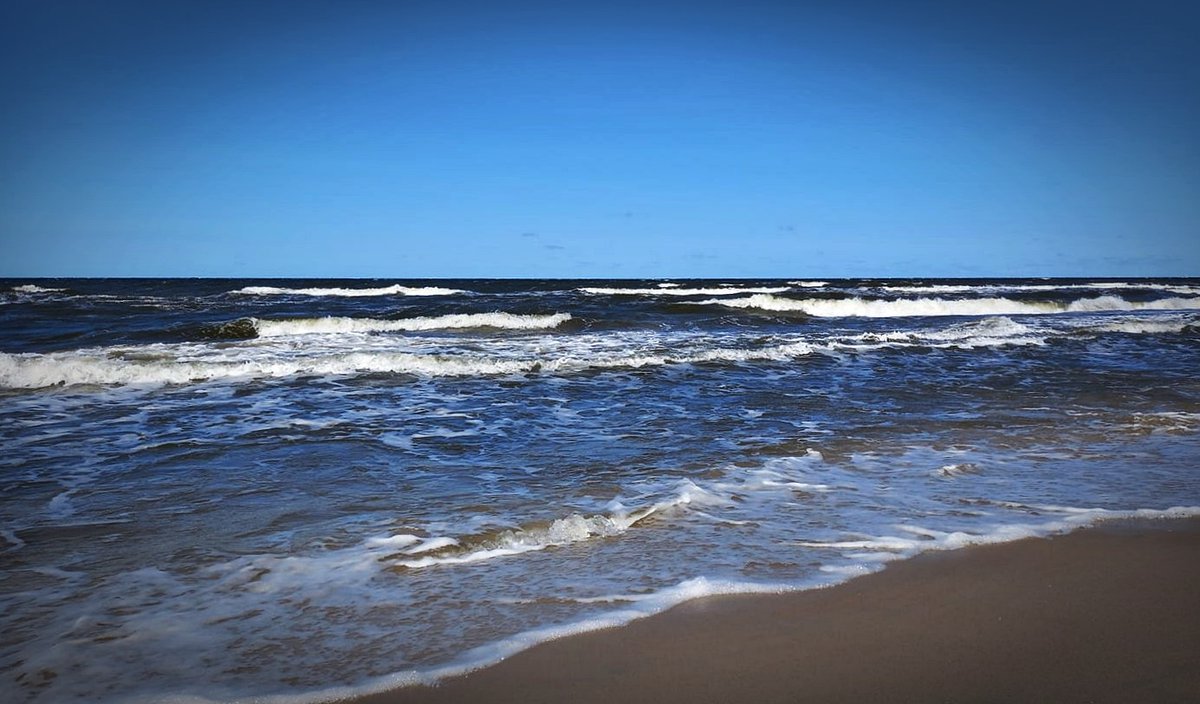 Jarosław tweet media