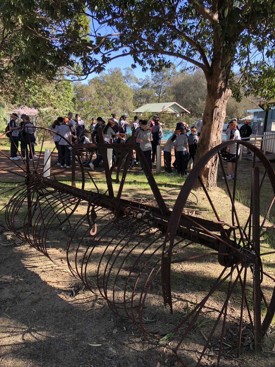 MuscaRoseanne's tweet photo. Stunning weather for Day One of the Year 6 camp at Fairbridge. Mrs Hornby joined us for the Heritage Tour of the village. #hccellenbrook https://t.co/M0sv54KbnO
