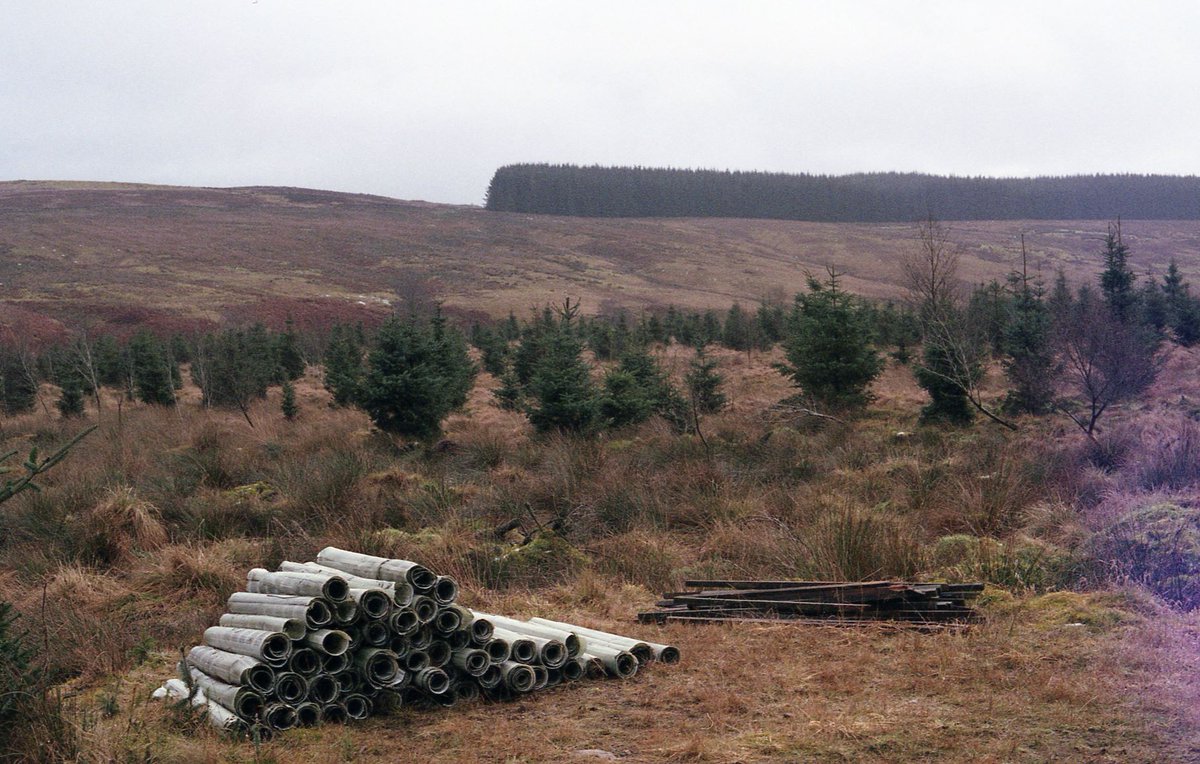 VARC (@varc_arts) on Twitter photo Next up is <a href="/catrigallagher/">Catriona Gallagher</a> who spent 10 mths at Highgreen, mostly in lockdown, making a fantastic body of work incl. her #film 'Fell' that will be premiered at the #ENTWINEDRuralLandLivesArt exhibition opening Sept 4th #plantation #artificial #natural #wild #writing <a href="/NlandNP/">N'land National Park</a> Next up is <a href="/catrigallagher/">Catriona Gallagher</a> who spent 10 mths at Highgreen, mostly in lockdown, making a fantastic body of work incl. her #film 'Fell' that will be premiered at the #ENTWINEDRuralLandLivesArt exhibition opening Sept 4th #plantation #artificial #natural #wild #writing <a href="/NlandNP/">N'land National Park</a>