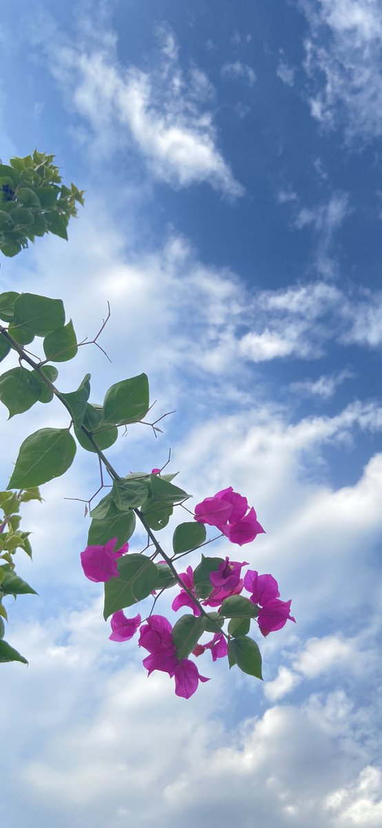 Iso3admb's tweet photo. صباح الخير: أتمنى أن يحصل كل شخص منكم على ما يتلهّف قلبه له ومن دون أيّة أسباب، فجميعنا بحاجة لشعور الدهشة 🌱🤍 https://t.co/p4oUizlf7u