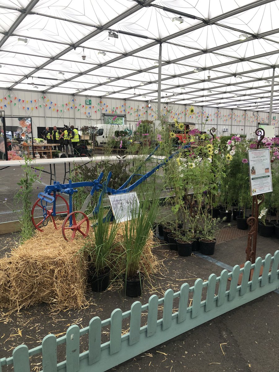 Rosyhardy62's tweet photo. Just a little of our display @BBCGWLive for @hardyplants highlighting the old Ferguson tractor used by @RobHardyPlants father where he farmed near Ashbourne Derbyshire. #vintage #Tractor #peatfree #Flowers https://t.co/d3hoqYv23E