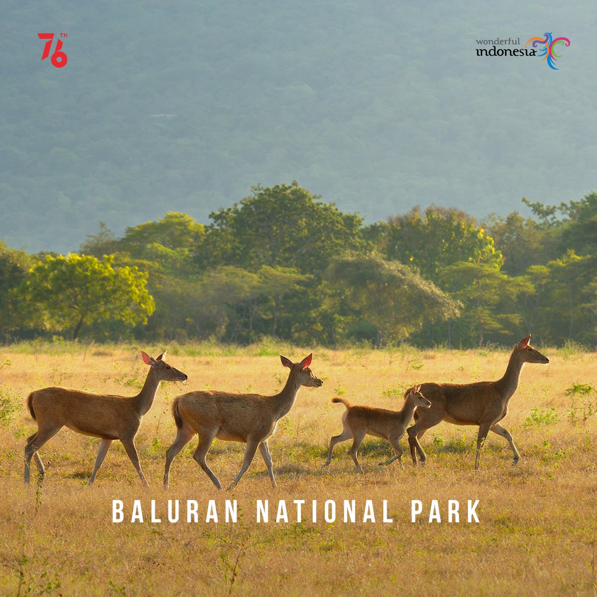 East Java offers a great number of dazzling attractions from awesome beaches, majestic mountains, to refreshing waterfalls! Check out some more amazing spots you can find by clicking the link below! bit.ly/2Wjxdx5
#FromIndonesiawithLove #WonderfulIndonesia