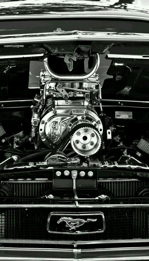 G_Hysteria's tweet photo. #MonsterEngine #musclecar #Mustang https://t.co/W97tLuXhxq