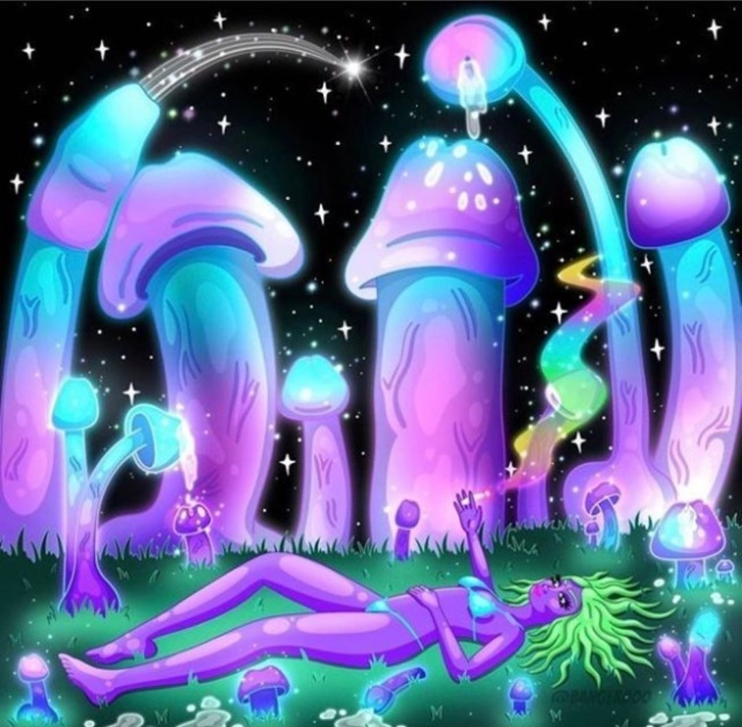 Smoking your first joint after a 3 month tolerance break be like