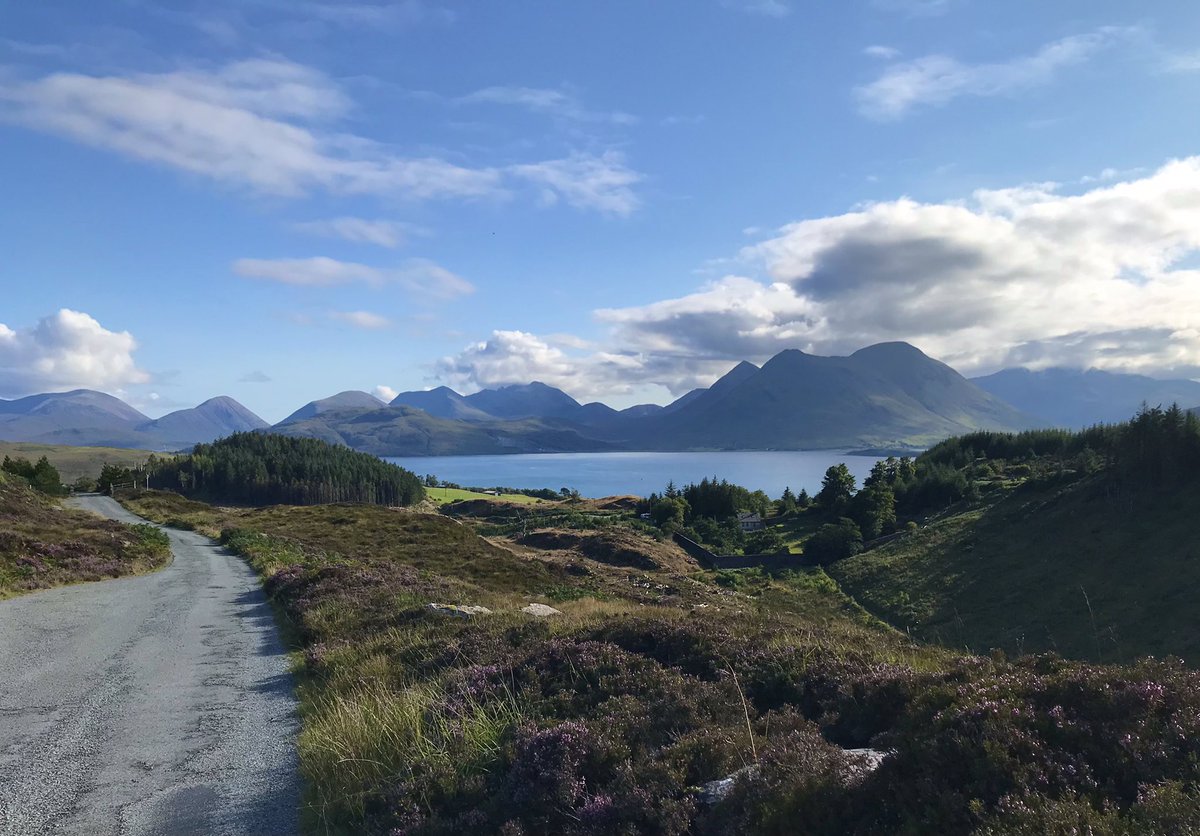 Geoff Simmons tweet media