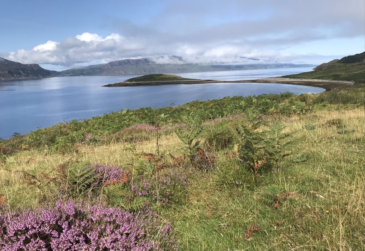 Geoff Simmons tweet media