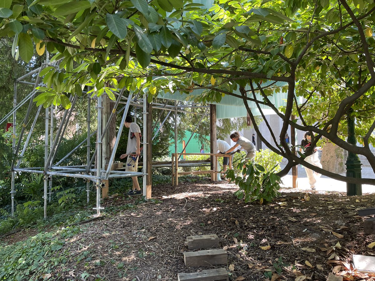 kadowaki_kozo's tweet image. 成長する展示。 #vba2021jp