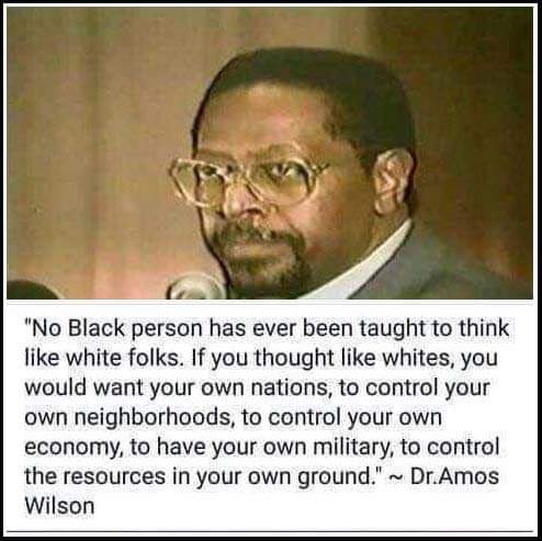 NZENANZE's tweet photo. No black person has even seen taught to think like white folks. If u thought like white, u would want ur own nation, to control ur neighbourhood, to control ur own economy, to have ur own military, to control the resources in ur own grounds _Dr Amos Wilson https://t.co/FUfClmqqV0