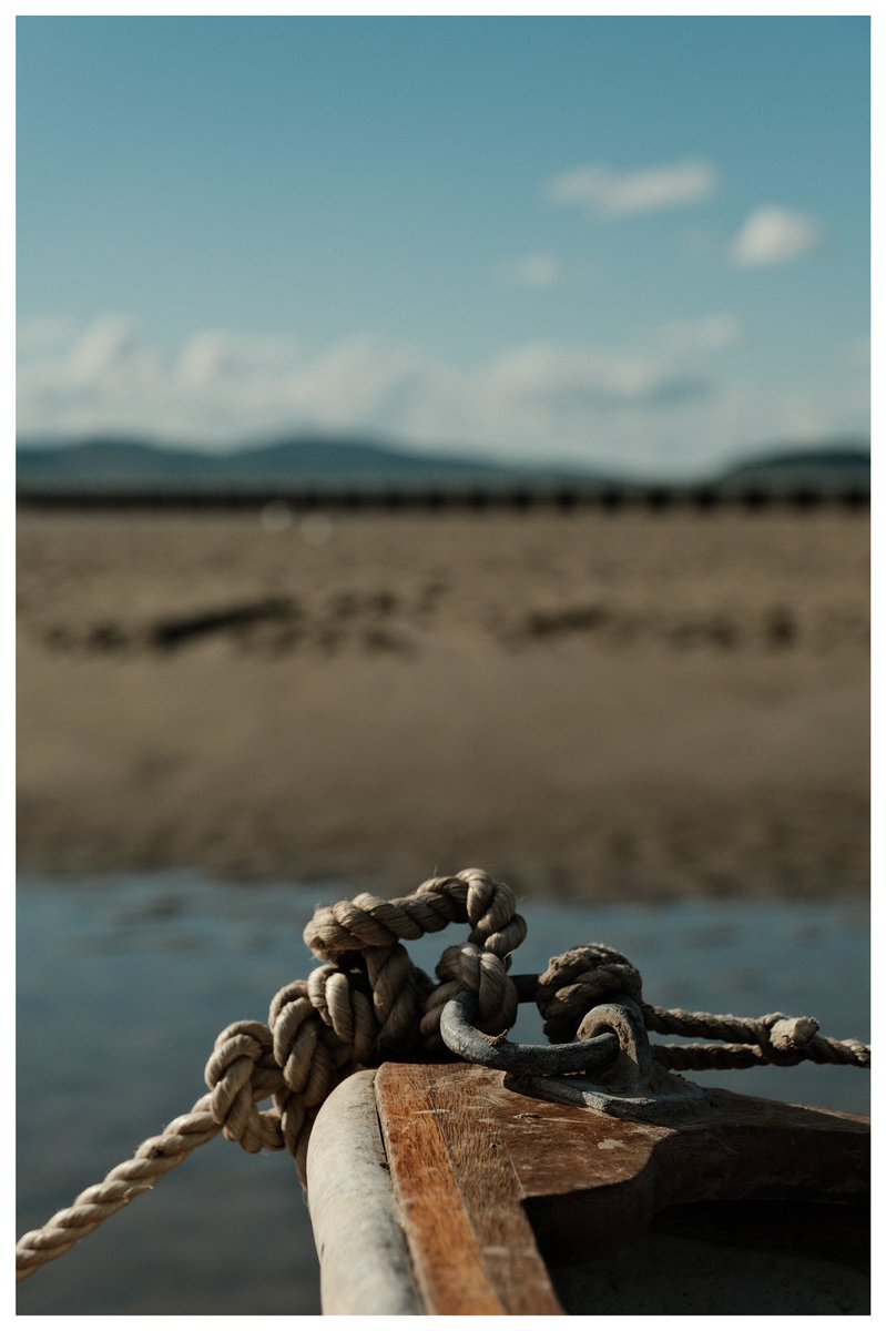 AdamBlackSnaps's tweet photo. Took a cool photowalk by the beach over the weekend.

Used Kodachrome 64 on the Fujifilm XT4. 

#fujifilm #beaches #beachlife https://t.co/cdd7rmYx0F