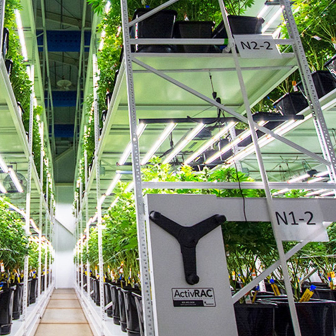 PurePotentCBD's tweet photo. We are always looking into the future of farming. Learn more about it over at our blog:
https://t.co/Kb4t2ichVD
https://t.co/bYBdkxCdNn
#purepotent #hemp #vertical #farming #blog #verticalfarming https://t.co/s7P2LSxUFy