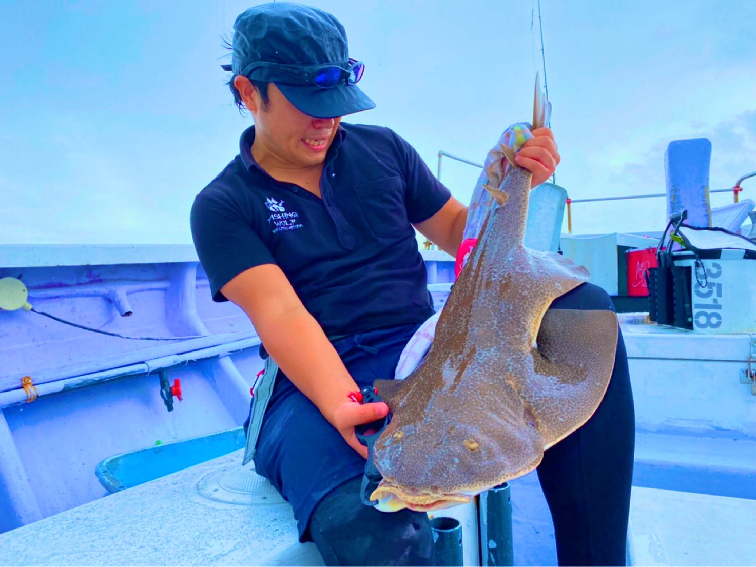 シンジ 先日オフショアに行ってきました 色々釣れた後 最後に凄いゲストが カスザメ 初めて釣りました 上がってきた瞬間 座布団ヒラメだと思いました 駿河湾 カスザメ Hayabusa 貫撃遊動テンヤ Surfzombie Varivas Rarts T Co