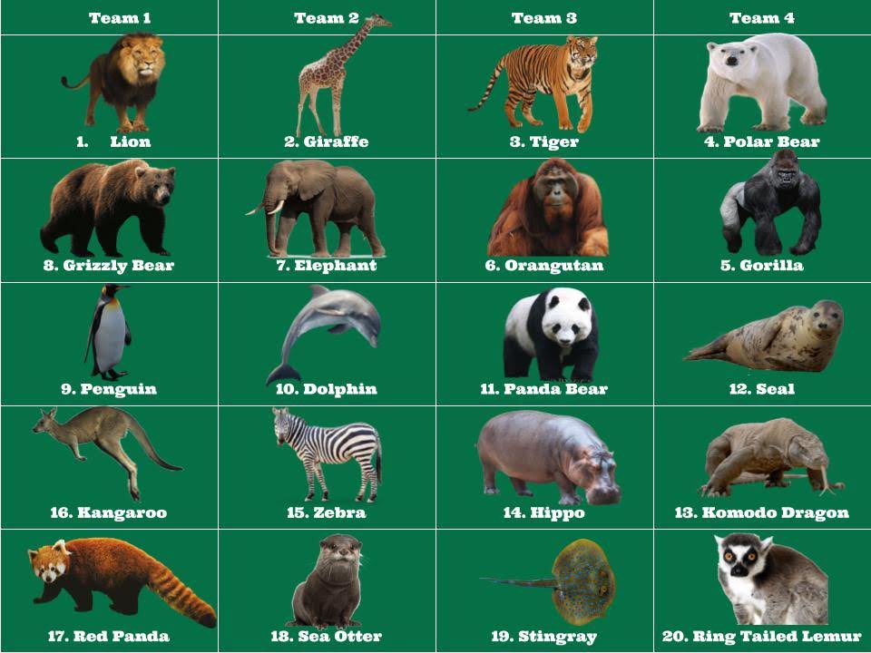 TeammatesPod's tweet photo. 🚨 ZOO ANIMAL DRAFT 🚨 

Who drafted the best animals?? https://t.co/vyeJmEt7kD