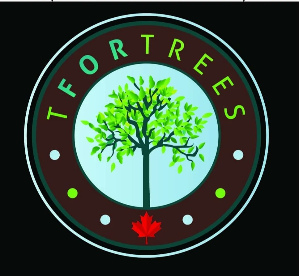 TforTrees's tweet photo. Our Symbol of Dedication to Reforestation Efforts in Africa 🌍 and byond with https://t.co/ysO0X929S0
A made in Canada 🇨🇦 solution. Come join in our efforts by Sponsoring #TforTrees #COP26 #Canada #ClimateAction #ClimateCrisis #globalwarming #climatejustice #100billiontrees https://t.co/XrSFWYNXgG