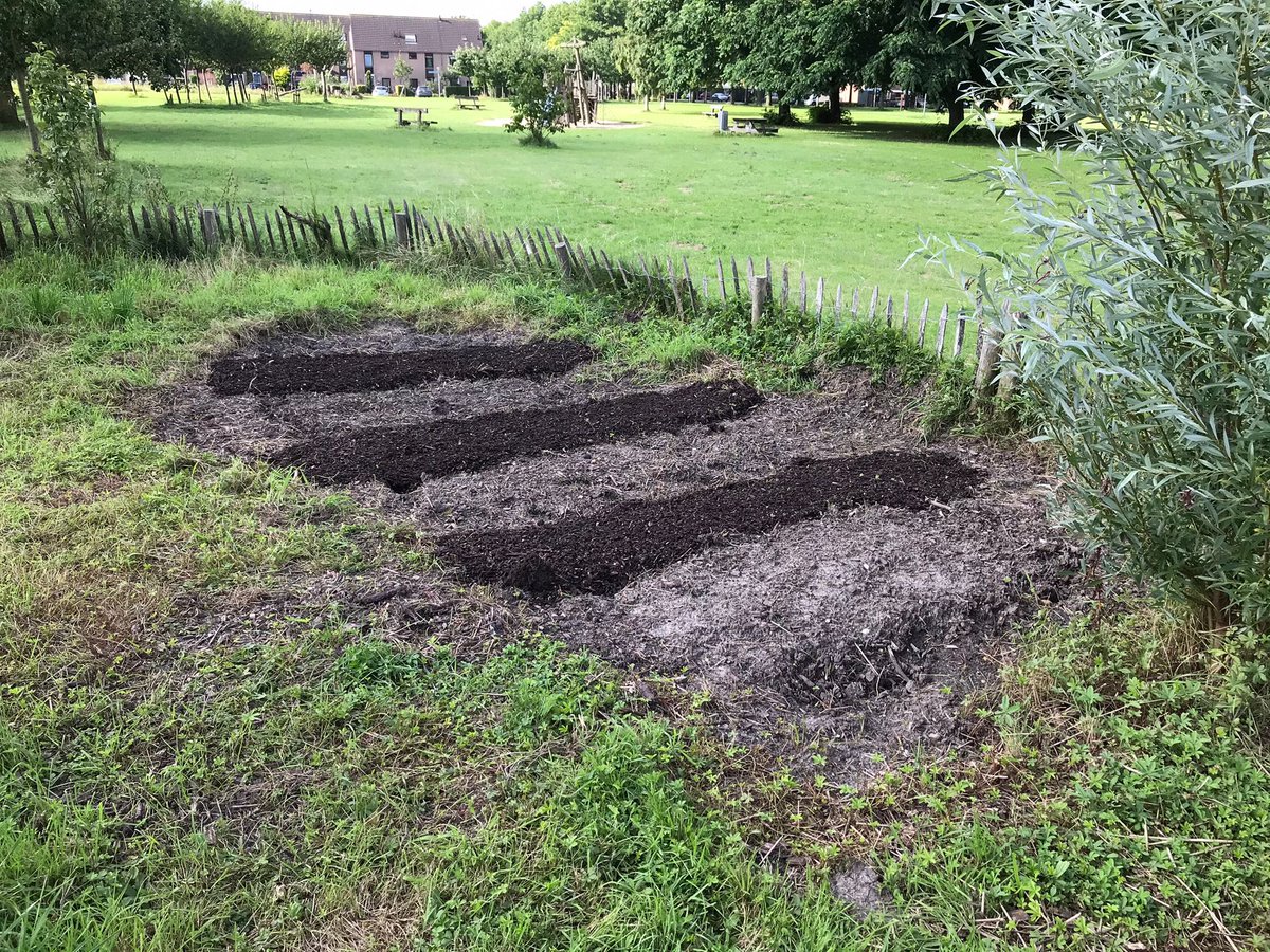 De schooltuin ligt klaar voor groep 6! <a href="/IVNNederland/">IVN Natuureducatie</a> @FloriadeExpo @ggcAlmere