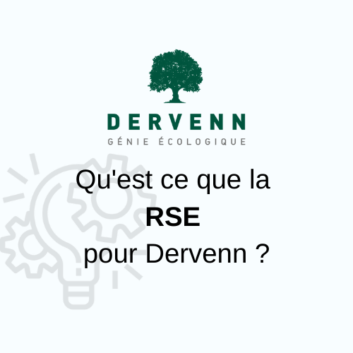Dervenn's tweet photo. Nous sommes engagés dans une démarche RSE. Nous vous présentons notre démarche et comment nous œuvrons dans l'entreprise à travers cet article : 
https://t.co/h79wLZYjOY https://t.co/gcTNriTOVU