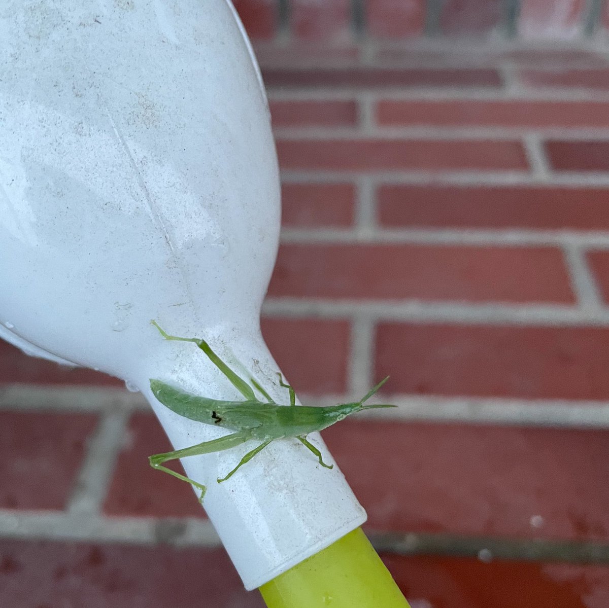 E9 A3 9b E8 9d 97 Twitter Search E9 A3 9b E8 9d 97 Twitter Search