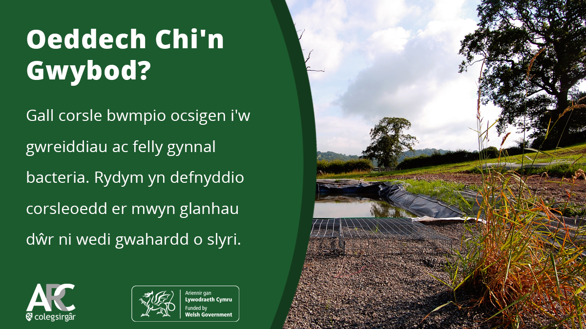 Agriculture Research Centre tweet media