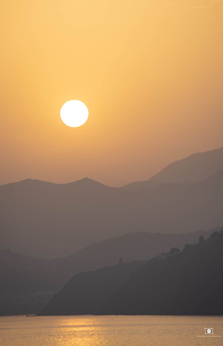 AficionFotografica tweet media