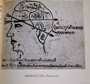 กุ๊กต่ายน้อย บนดอยสูง tweet media