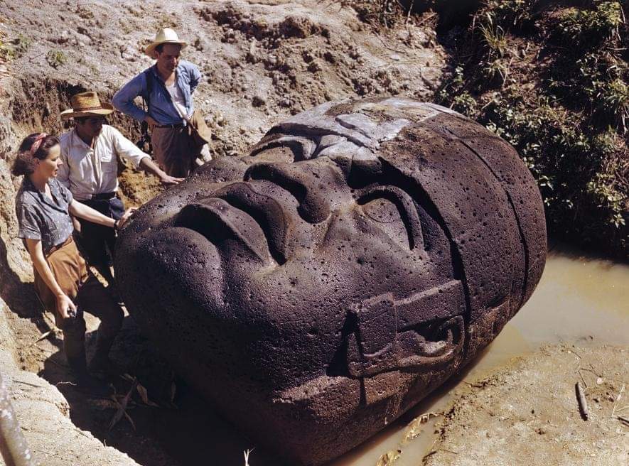 Unos arqueólogos estudian una cabeza de piedra olmeca en La Venta, México, en 1947. Ésta civilización, primera de Mesoamérica, ofrece pistas sobre el desarrollo de la región. #arqueología