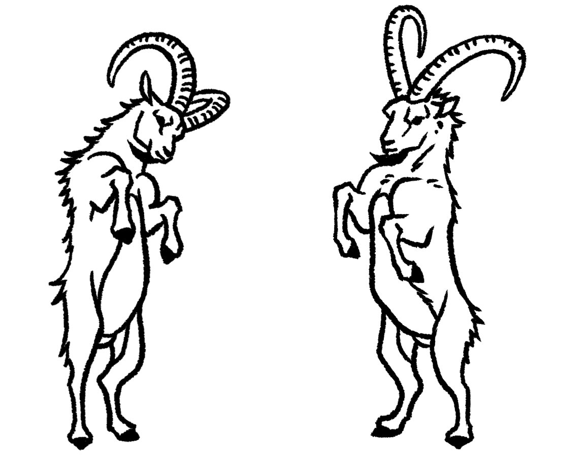 Capra sibirica 🐐 