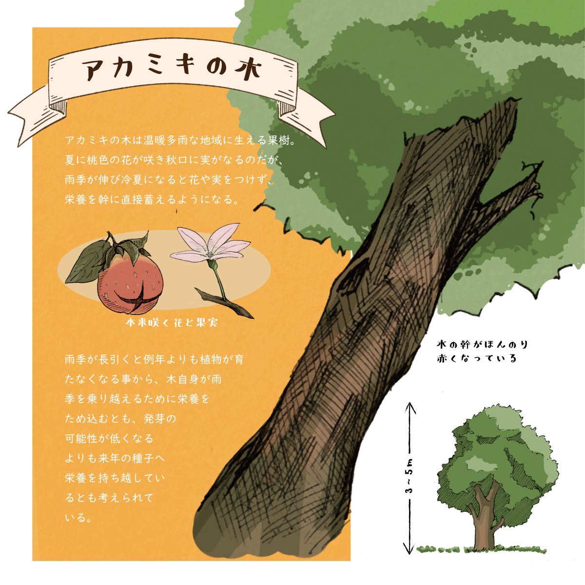 遊ハち 切り株ステーキ オリジナル イラスト 創作 架空の世界の旅をする T Co Bntwf7ra1q T Co Jxwjrmj0n4 Twitter