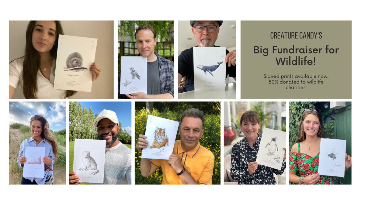We're 2 weeks in to our Big Fundraiser for Wildlife &amp; still have a long way to go! Thanks to everyone that has bought a print &amp; supported so far. With each purchase you make, you're supporting a number of fantastic wildlife charities that endeavour to protect struggling species.