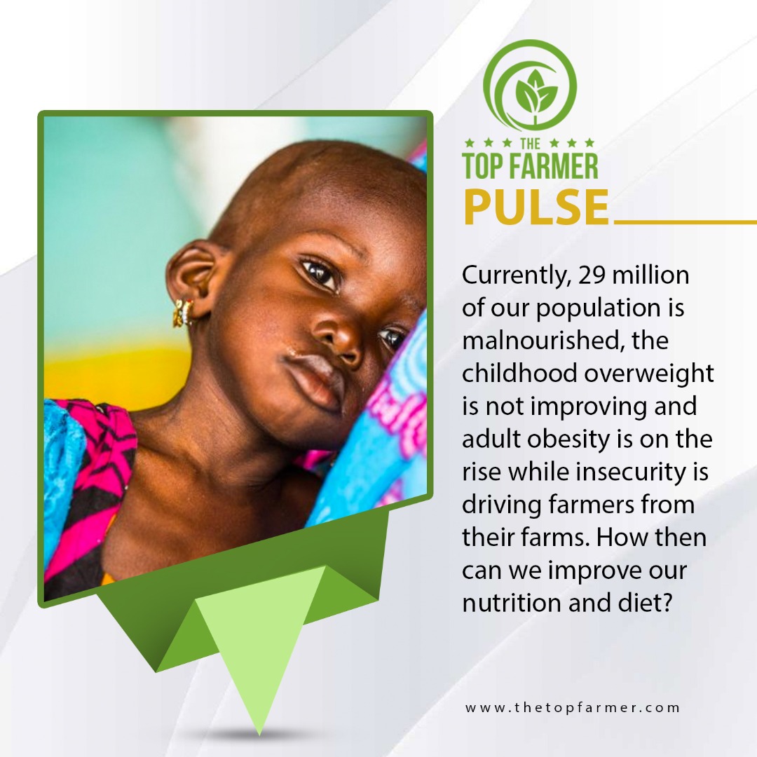 TheTopFarmer's tweet photo. How can we stay healthy and maintain our nutrition with affordable budget?
#norelent https://t.co/rXnVdCoVVU