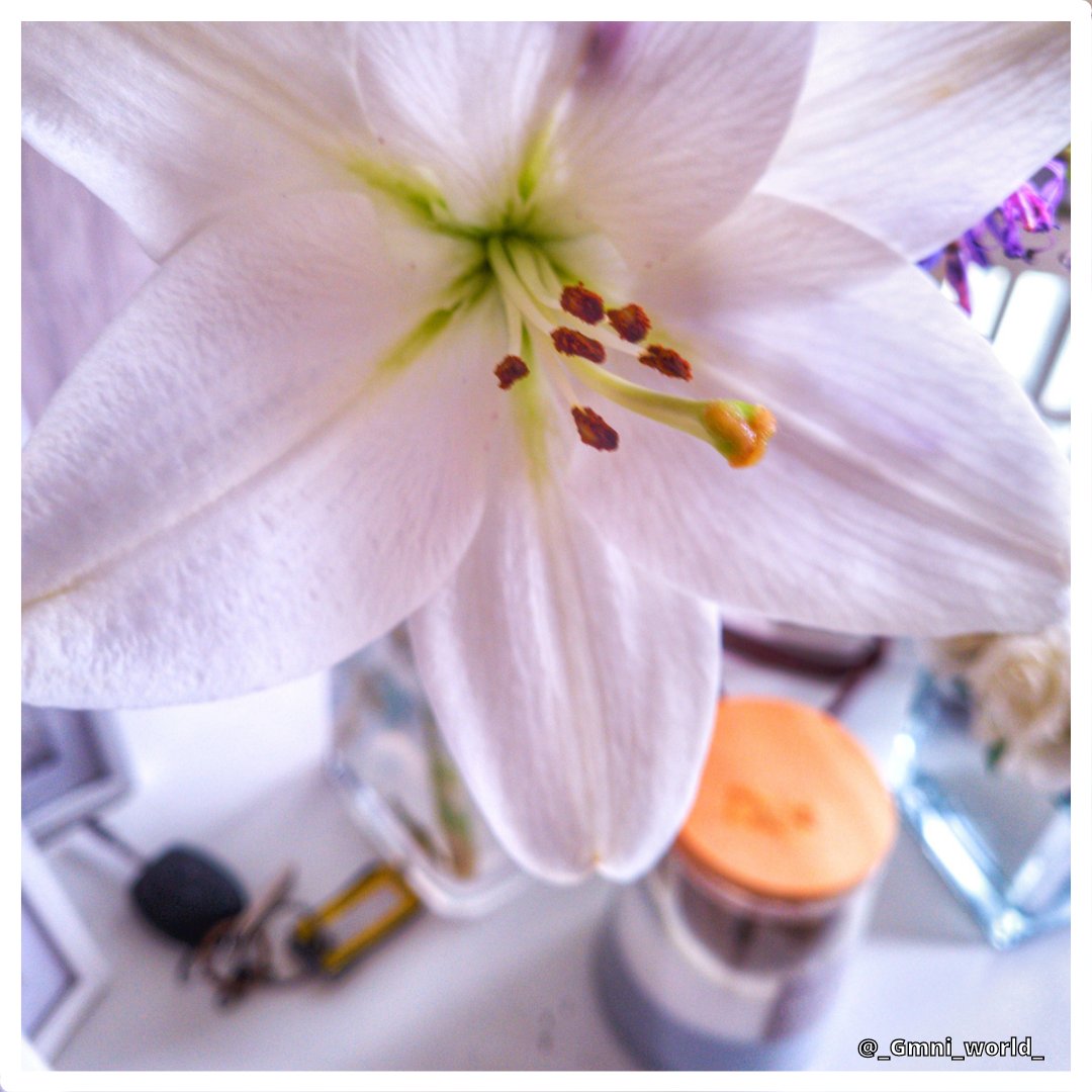 LswProject's tweet photo. Home life @AP_Magazine #appicoftheweek #creativephotography #offauto https://t.co/ojBKTiuqcu