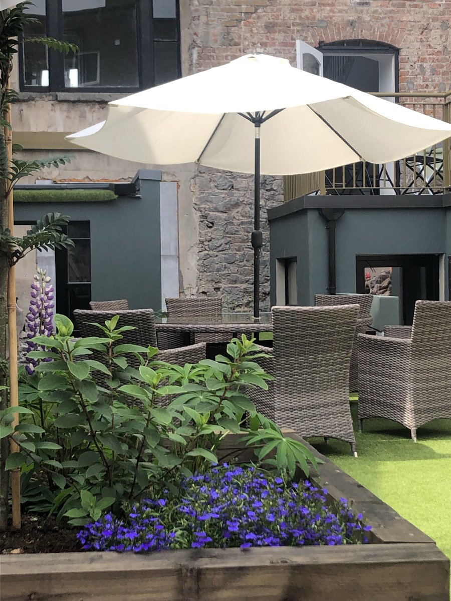 Launch later this week on daft.ie of 4 more units remaining for rental in our Georgian Residence now that the garden spaces are in better shape out back and our website atthecrescent.com with the story of our restoration is almost ready to go.