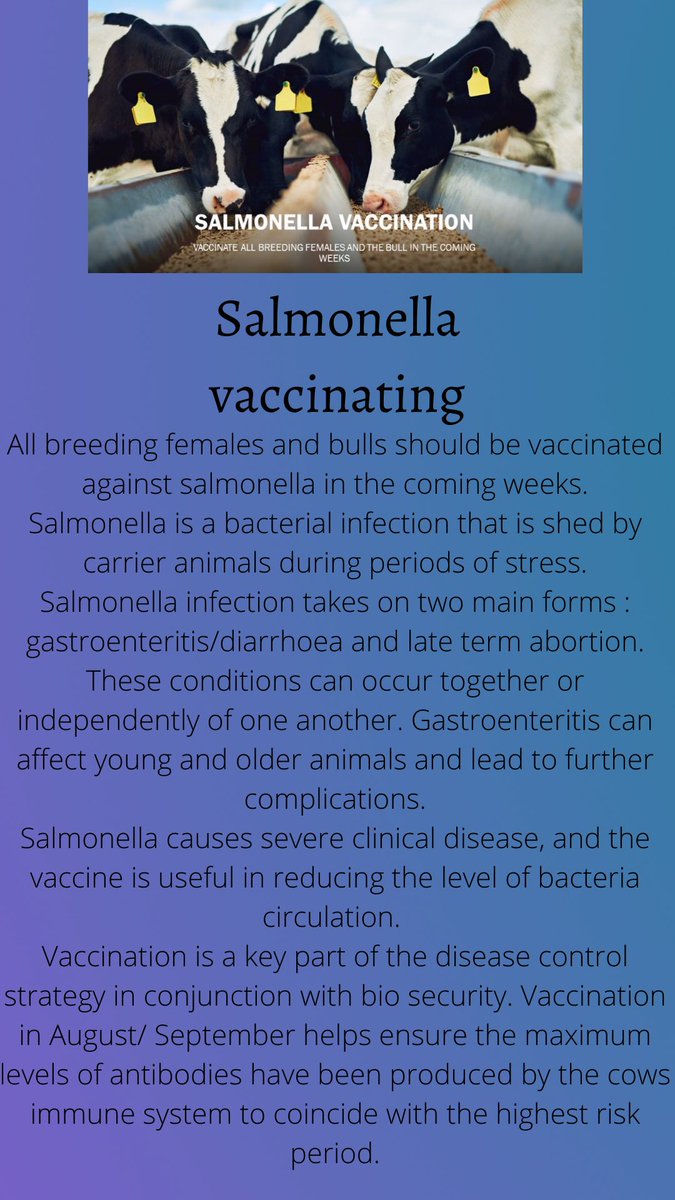 Mulcair Veterinary Clinic (@mulcairvets) on Twitter photo 