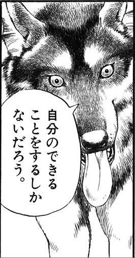 ガチャはやっぱリアルラックないといやーキツイっす正直天井分はある…だけどガチャをしないという選択が精神衛生上一番良いのだ今回は一応ガチャはしたぞ?40連までな!無論引けてないが#モンハンライダーズ#モンスターハンターライダーズ 