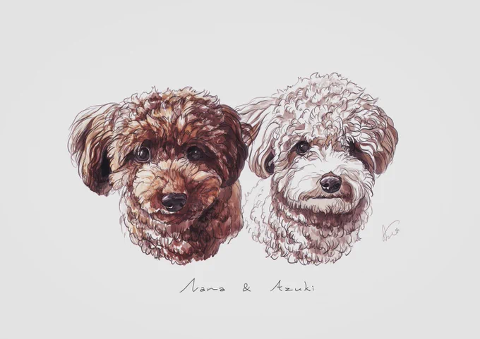 愛犬達を、とのご依頼でした🐾🐾 