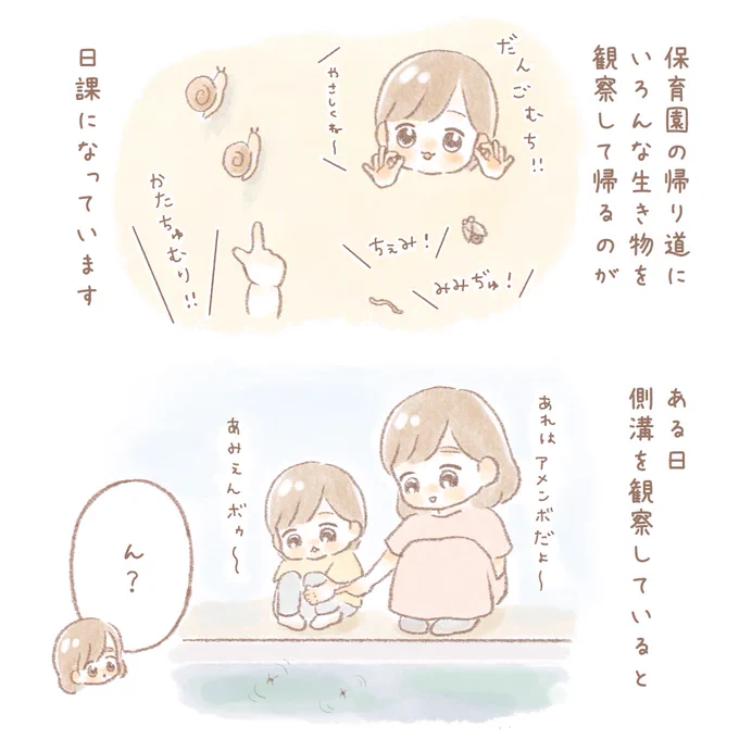 発見がいっぱい(生き物の描写があります)#育児絵日記 #育児漫画 #うににっき 