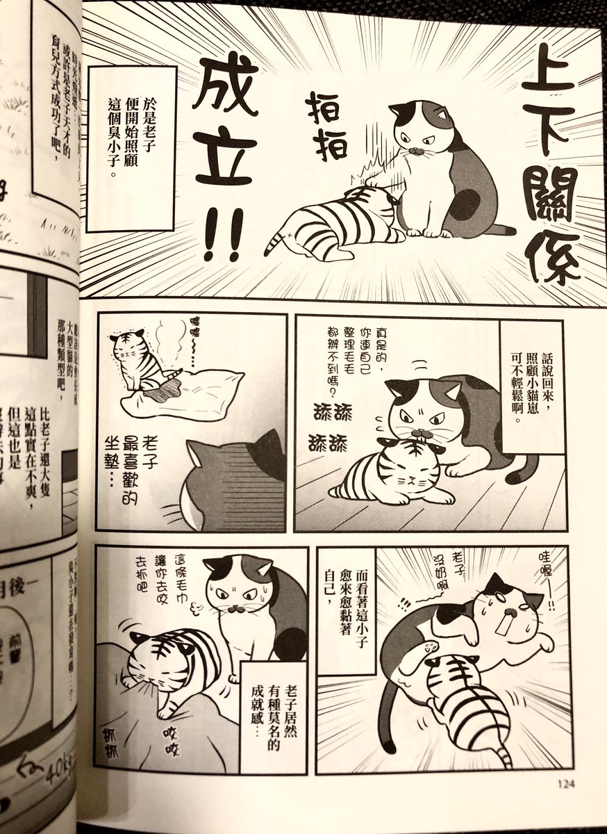 ネコ先輩さすがです!台湾版
献本頂きました!すごい!漢字でいっぱいです(*゜▽゜)効果音がおもしろい〜 