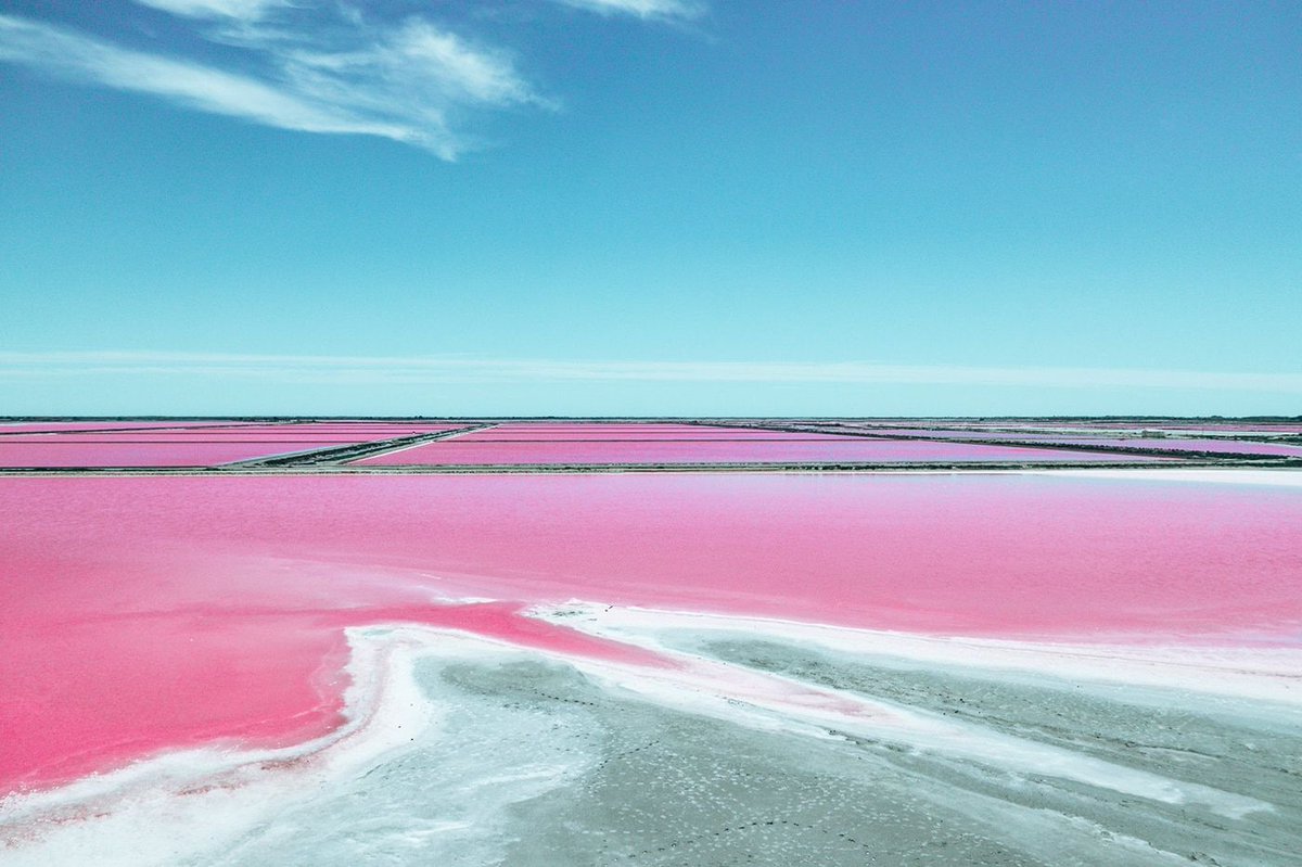 Есть розовое озеро. Dunaliella Salina озеро. Озеро Ретба Сенегал. Дуналиелла Салина (Dunaliella Salina).. Розовое озеро Ретба.