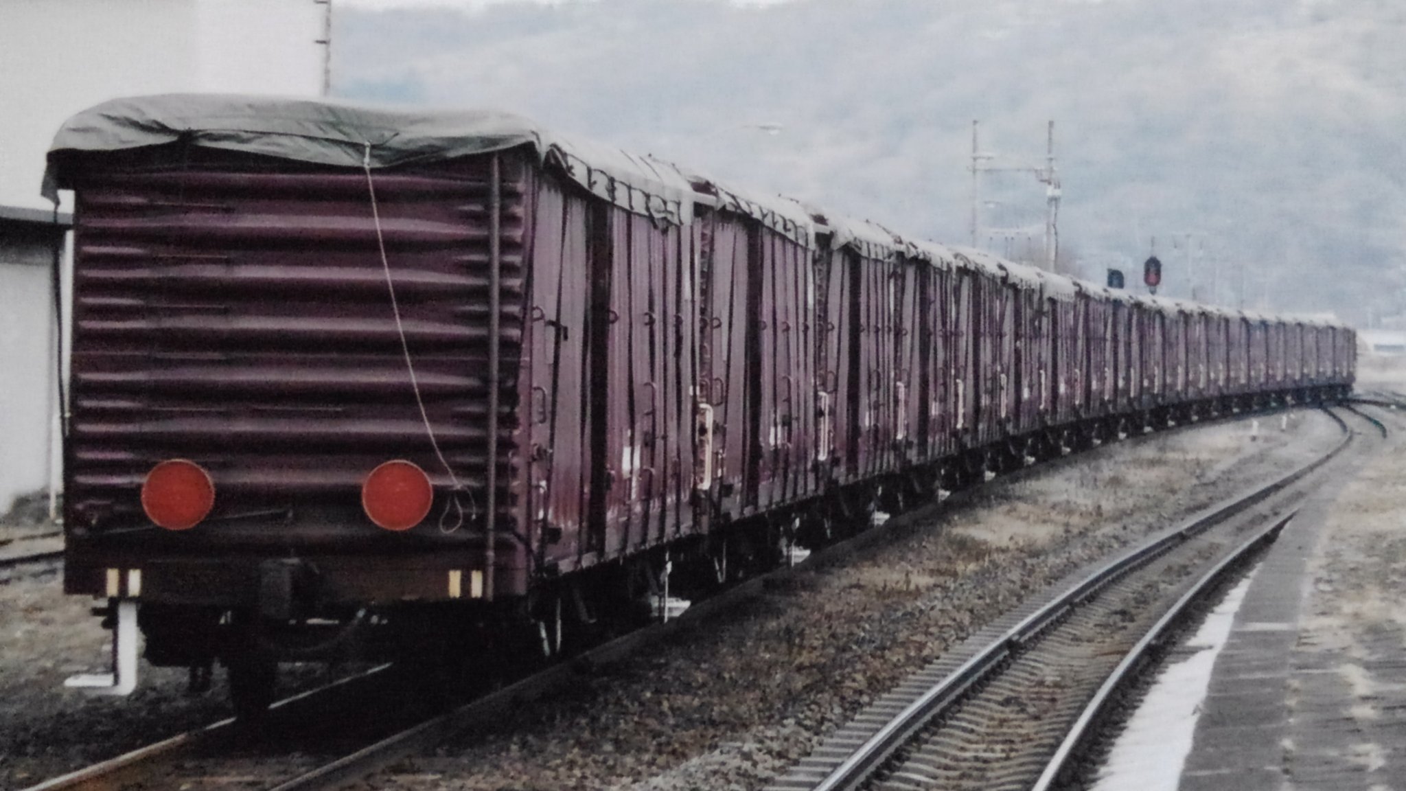 はちわれ Kawasaki NINJA ZX-6R 1998 Clutch - MSP