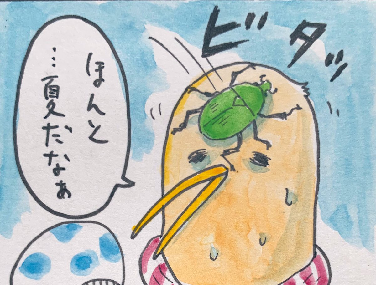 今日のキーウィ君 27日目 
