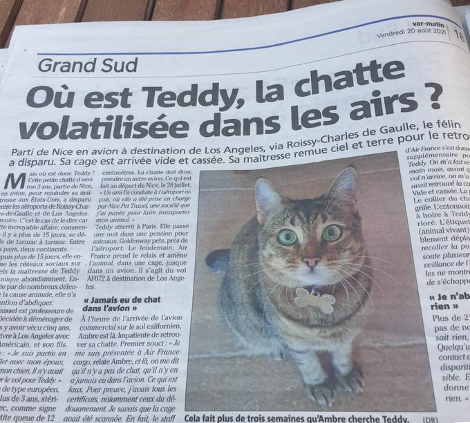 Swiss_Pepita's tweet photo. @AirFranceFR @AirFranceKLM @GroupeADP
On ne vous lâchera pas tant que #Teddy ne sera pas retrouvée !!!
#OuEstTeddy ??? https://t.co/wHkvUlVbSY