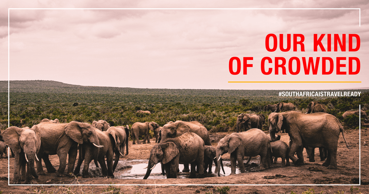 LuxuryRep's tweet image. Open spaces, incredible wildlife, magic sunsets, delicious food. #SouthAfricaIsTravelReady #WeDoTourism @SenseOfAfricaSA