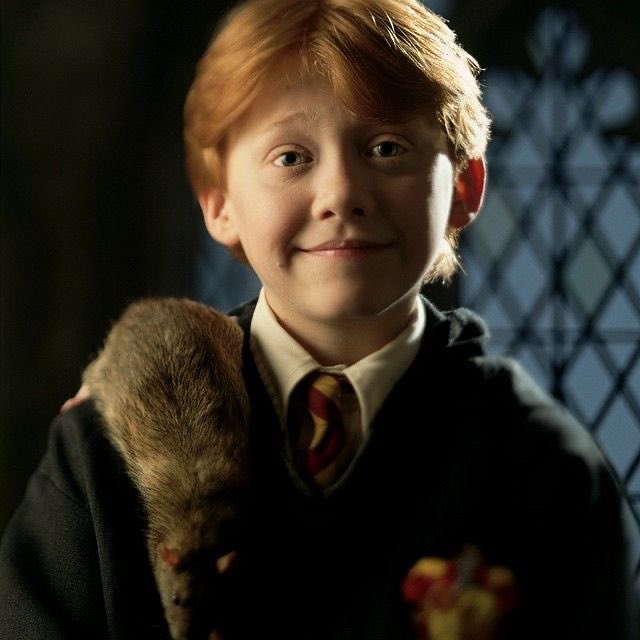 Happy 33rd Birthday to Rupert Grint, our perfect Ron Weasley! 

Long live gingerboy! 