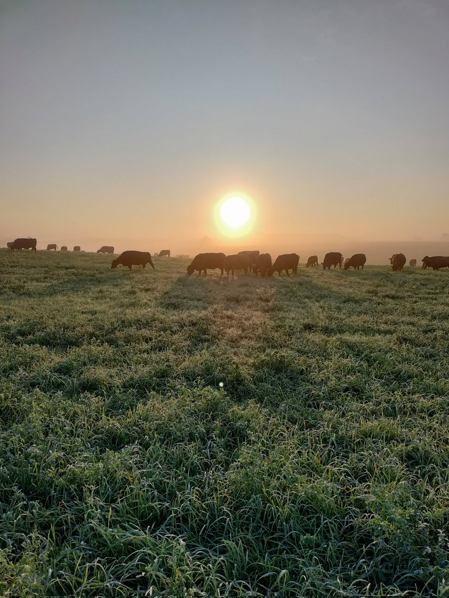 Fesstivities's tweet photo. Good mooorning #ontag https://t.co/2KbbBquI6d