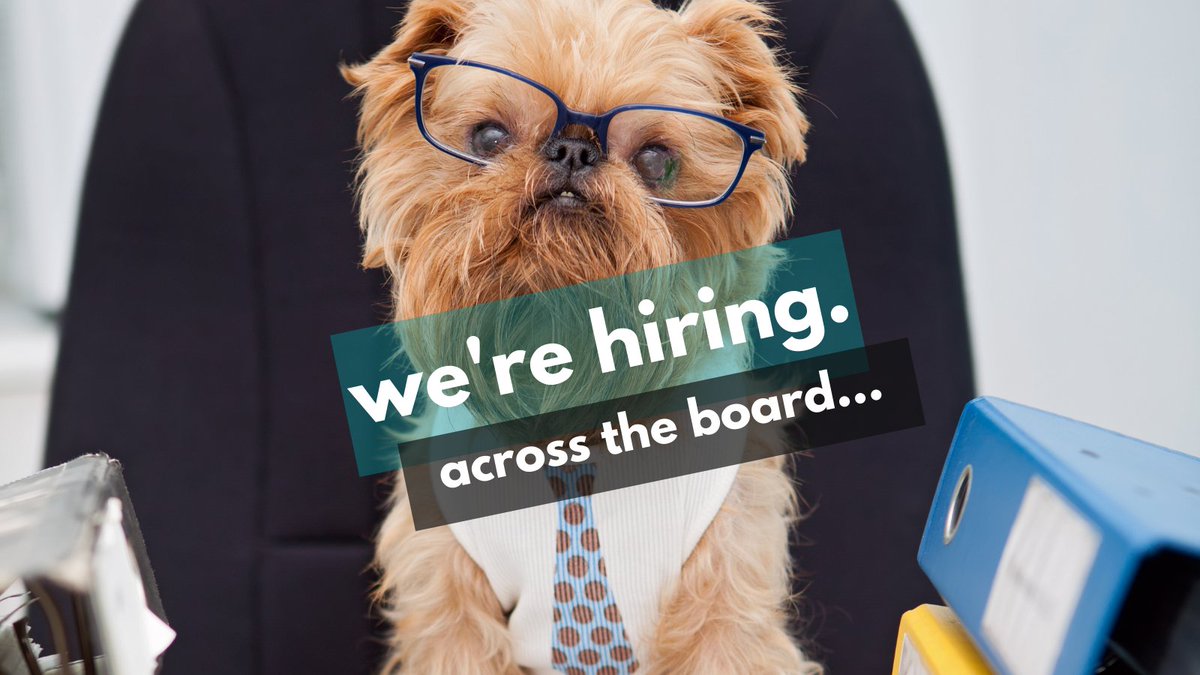 The client and project wins are rolling in so we are looking to expand our team. Humans and canines welcome... We are hiring across the board in our trade, consumer, corporate and social/digital PR teams to support on some very exciting activity. Apply now bit.ly/2POpOmU